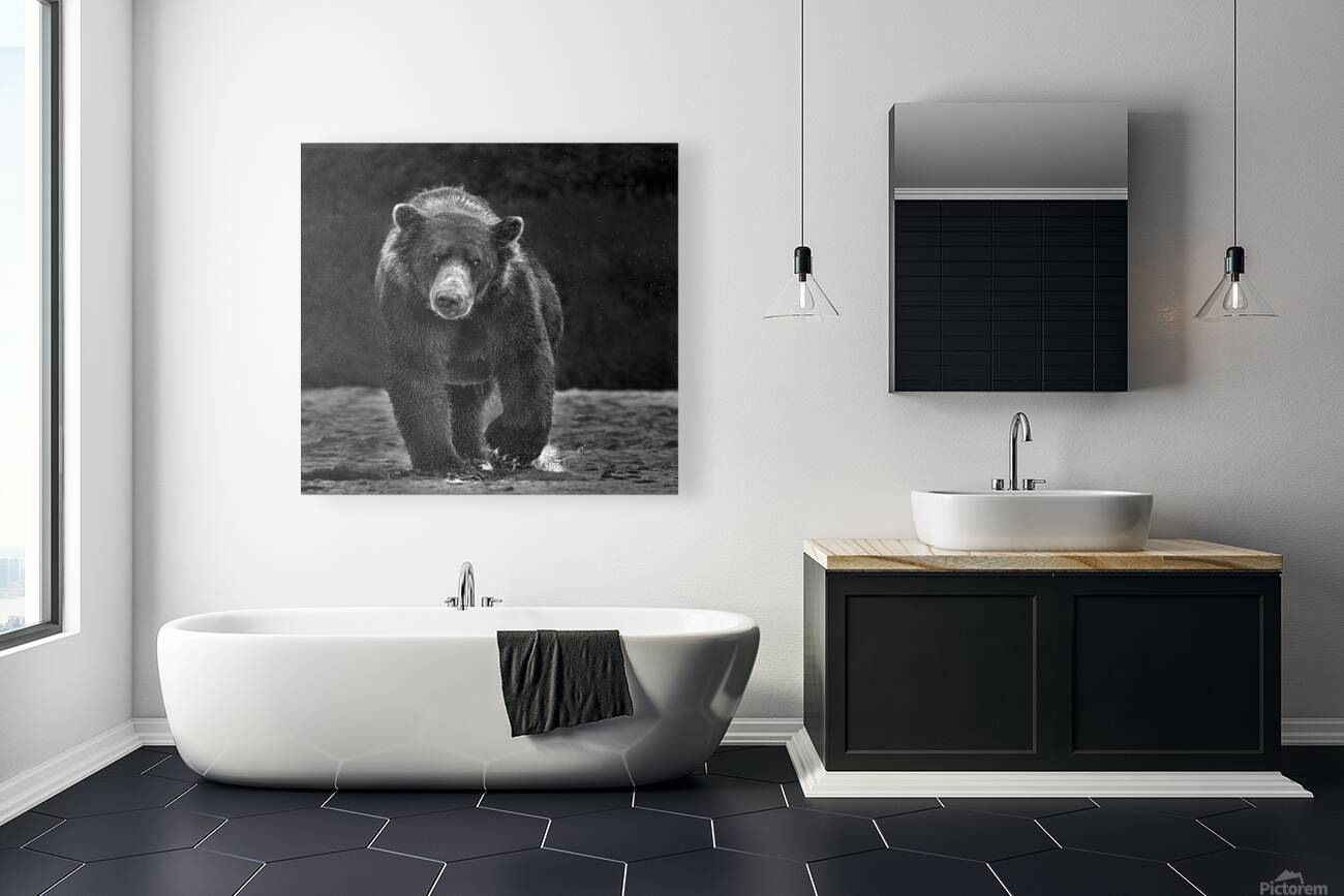 bear advancing b w 2 Reproduction