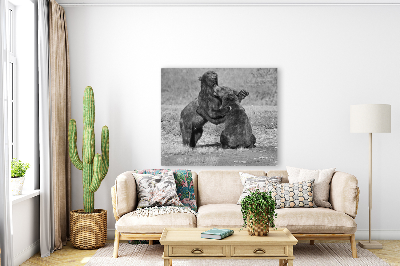 bear dance 35x30 Reproduction