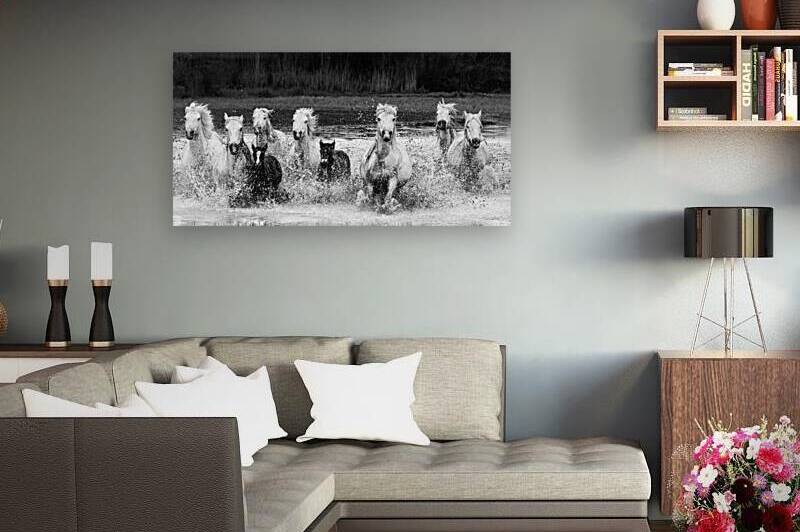 charging at the camera Reproduction