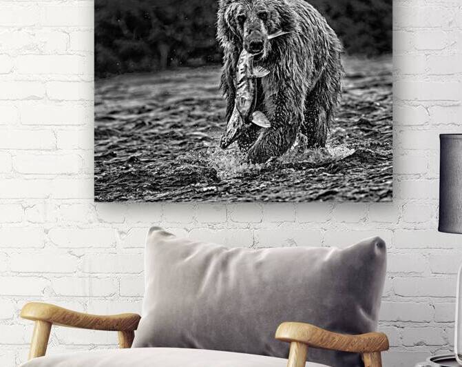 bear and fish b:w Reproduction