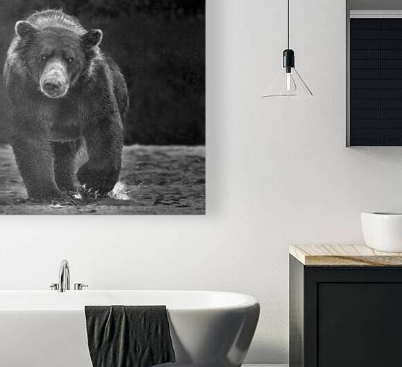 bear advancing b w 2 by Paul Thompson Fine Art Images