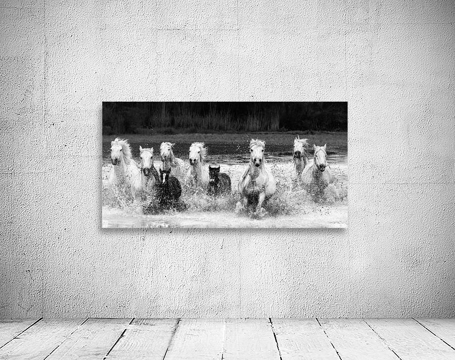 charging at the camera Wall Preview