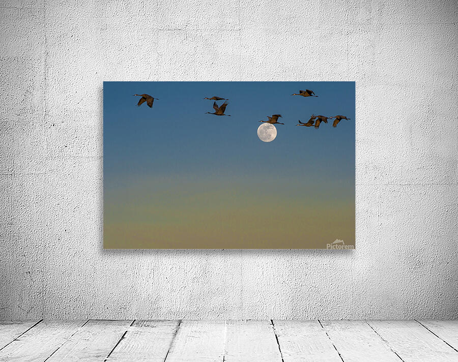 over the moon Wall Preview