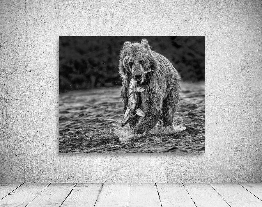 bear and fish b:w Wall Preview