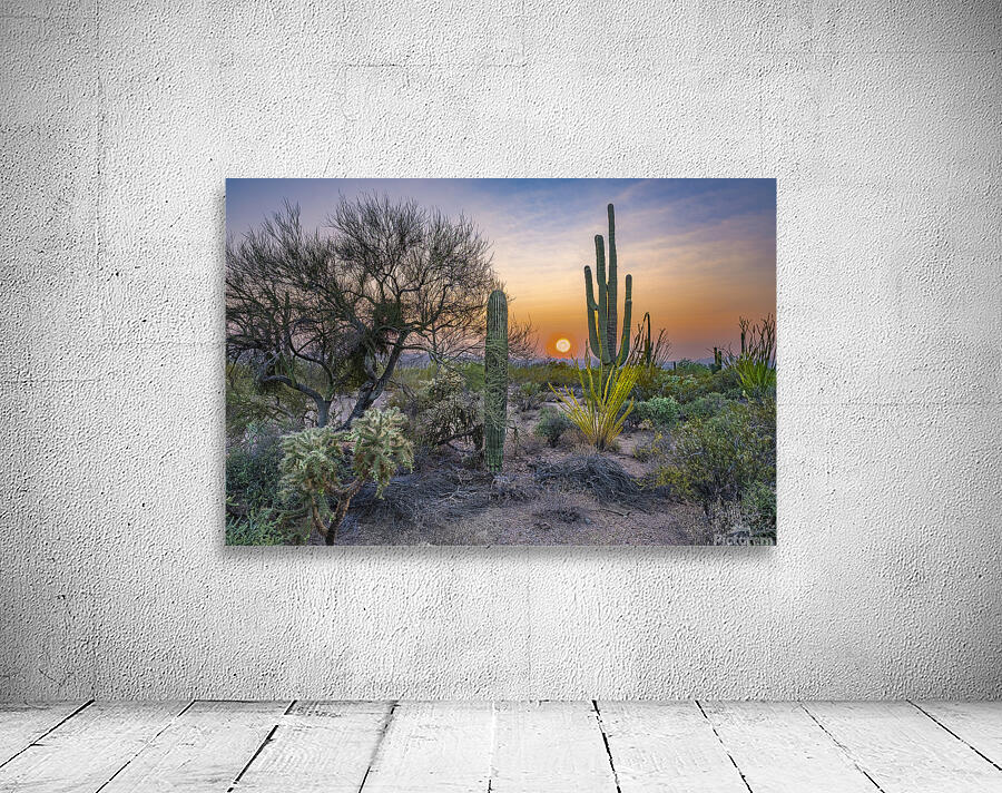 desert sundown Wall Preview
