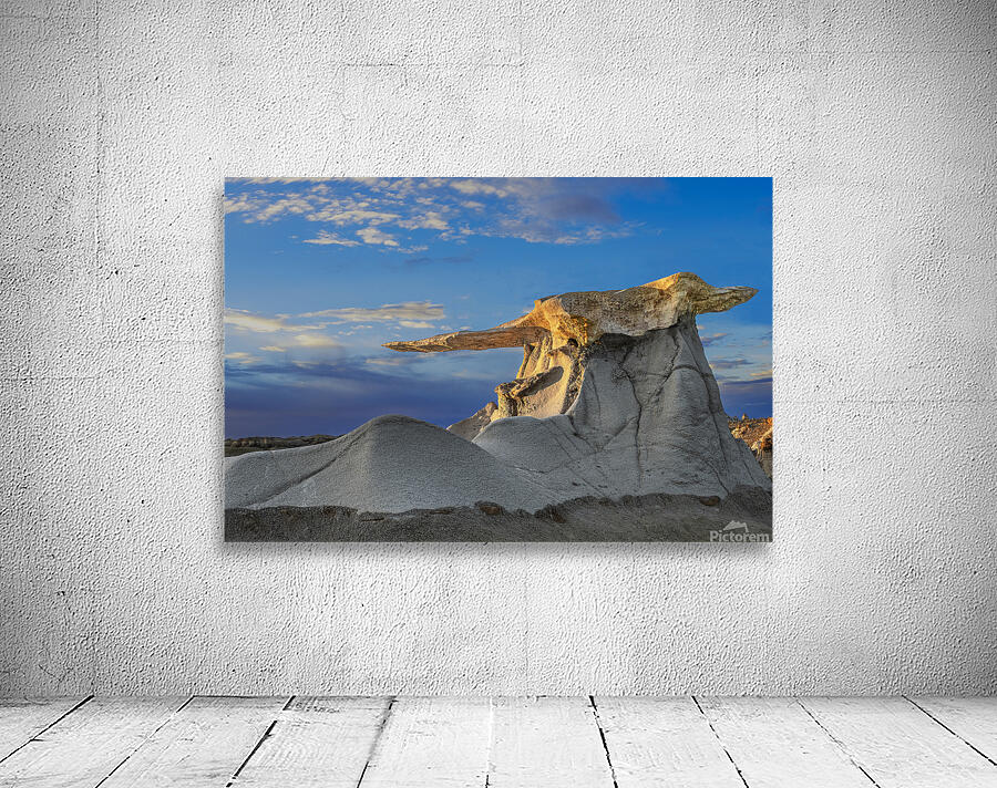 bisti treasures Wall Preview