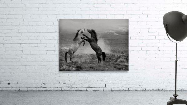 gladiators 30x40 Wall Preview