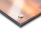 2B2A9584 Acrylic print