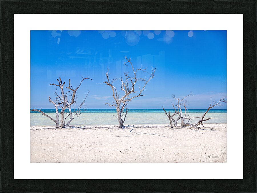 2B2A8284 Modifier Picture Frame print