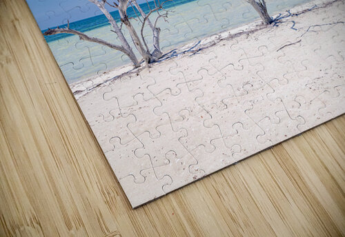 2B2A8284 Modifier Redha Yacoubi  puzzle