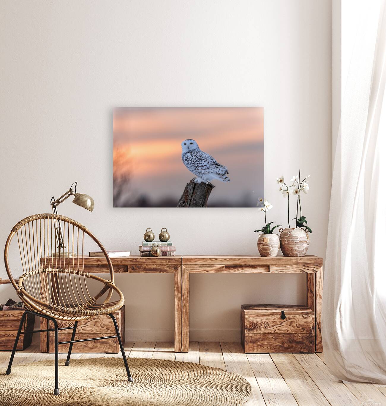 2B2A9584 Reproduction