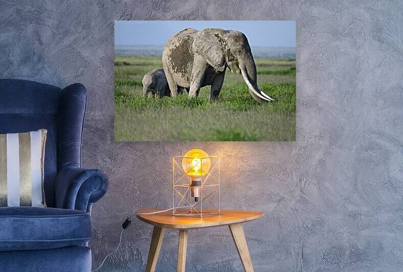 Amboseli Big Tusker by Drew Turnbull Photography