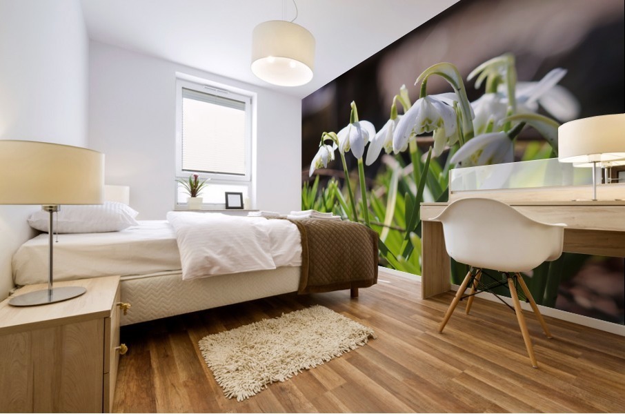 Spring SnowDrops Mural print
