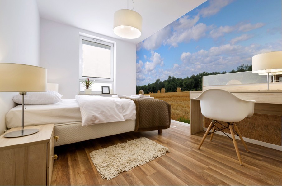 Summer Straw Mural print