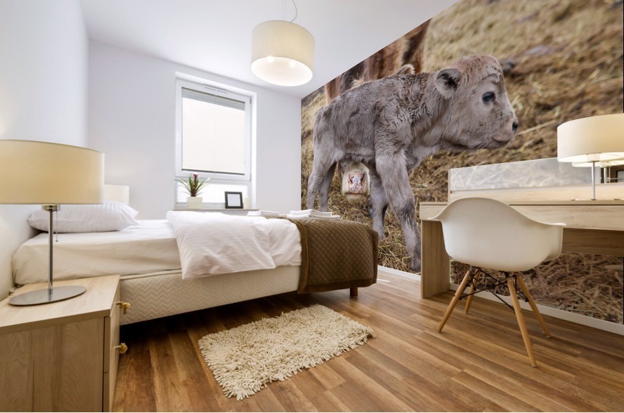 Nosy Mom Mural print