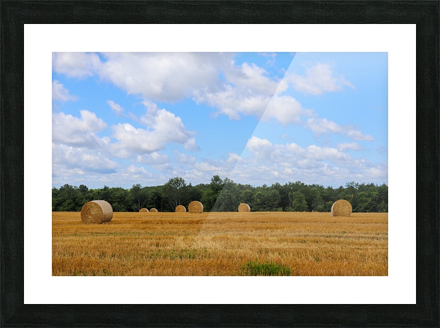 Summer Straw Picture Frame print
