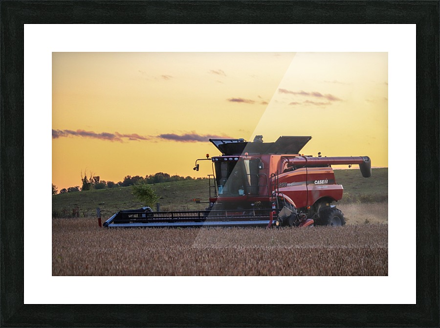 Combine at Sunset Picture Frame print