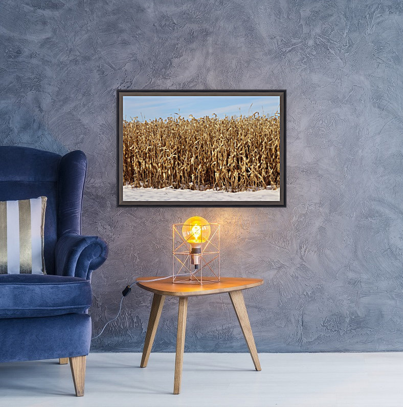 Snow Corn Reproduction