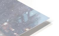Snow Cow HD Metal print