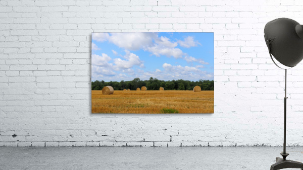 Summer Straw Wall Preview