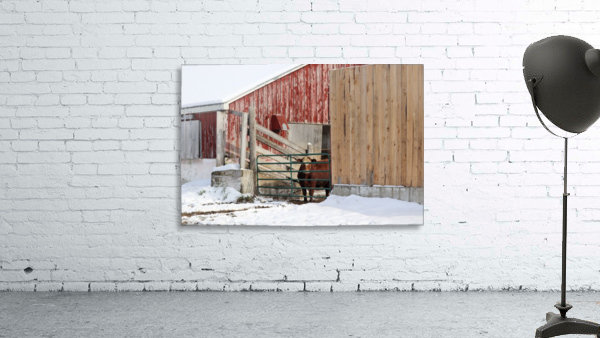 One Steer Wall Preview
