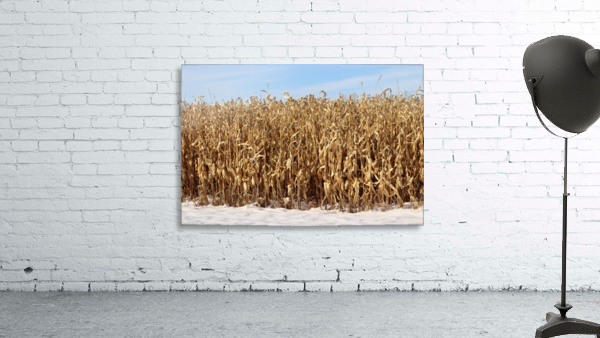 Snow Corn Wall Preview