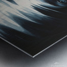 Ego s Reflection  Metal print