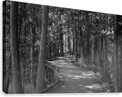 Enjoying The Boardwalk Canvas Print