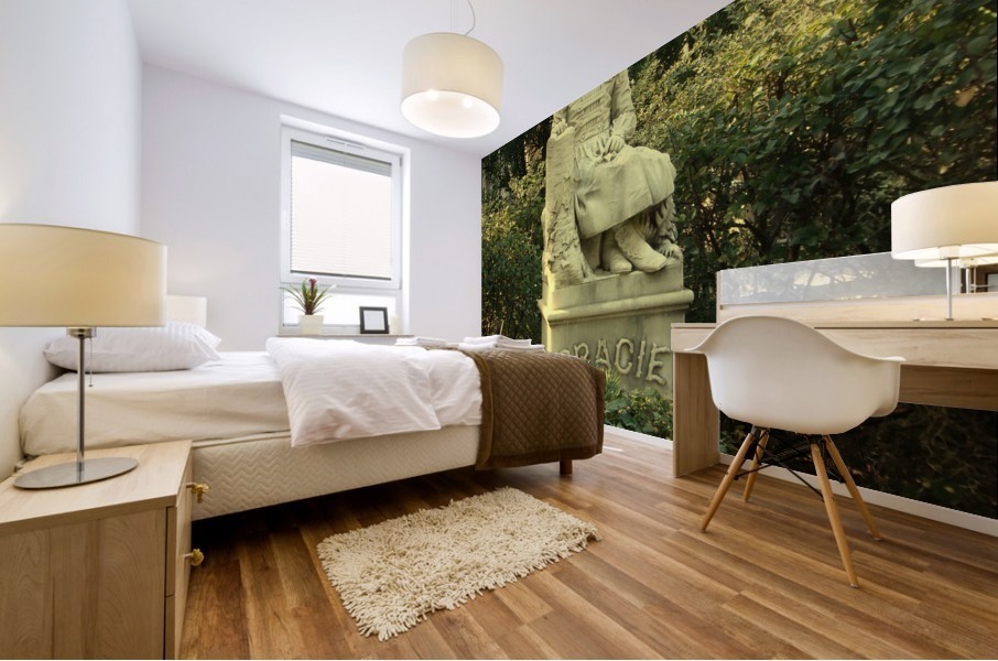 Gracie IV Mural print