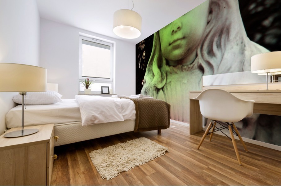 Gracie III Mural print