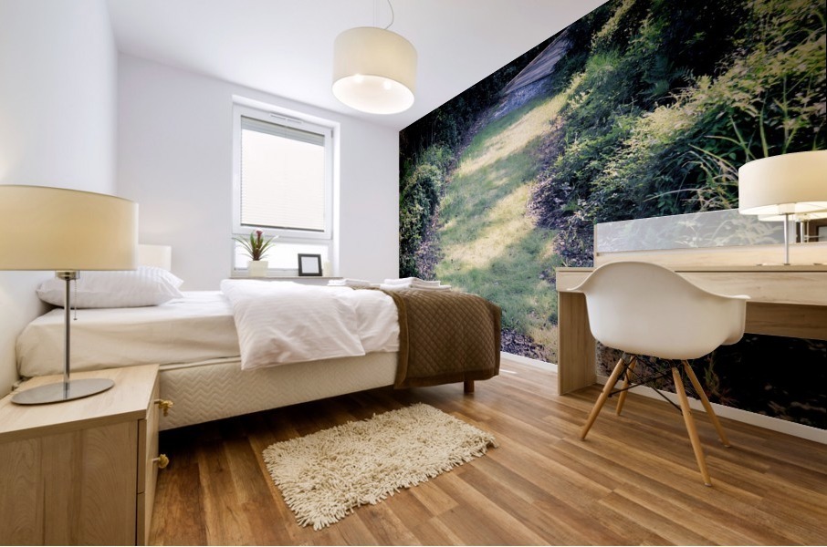 A Soft Walk Mural print