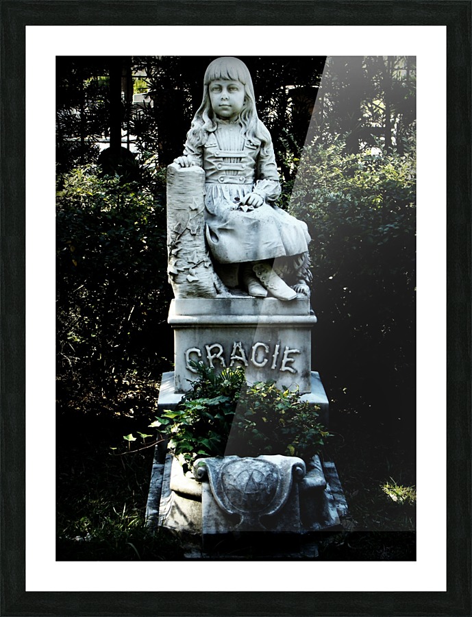 Gracie V Picture Frame print