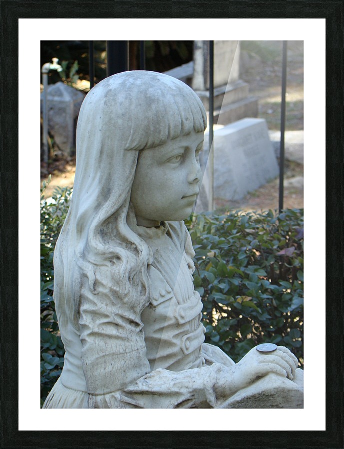 Gracie VII Picture Frame print