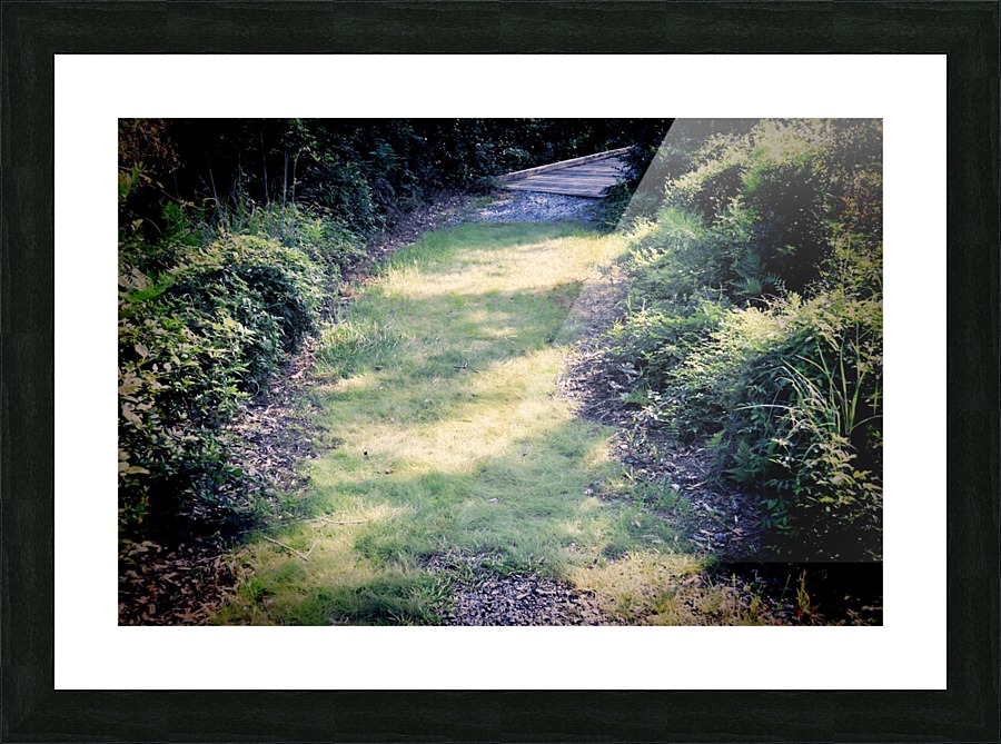 A Soft Walk Picture Frame print