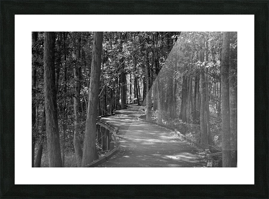 Enjoying The Boardwalk Picture Frame print