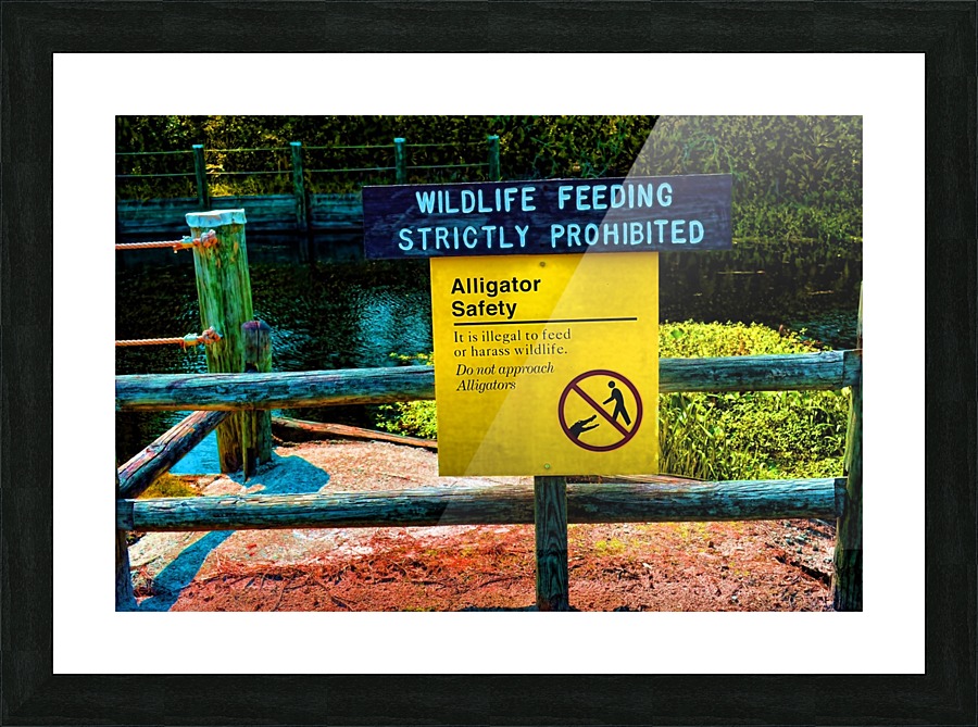 Do Not Feed The Gators Picture Frame print