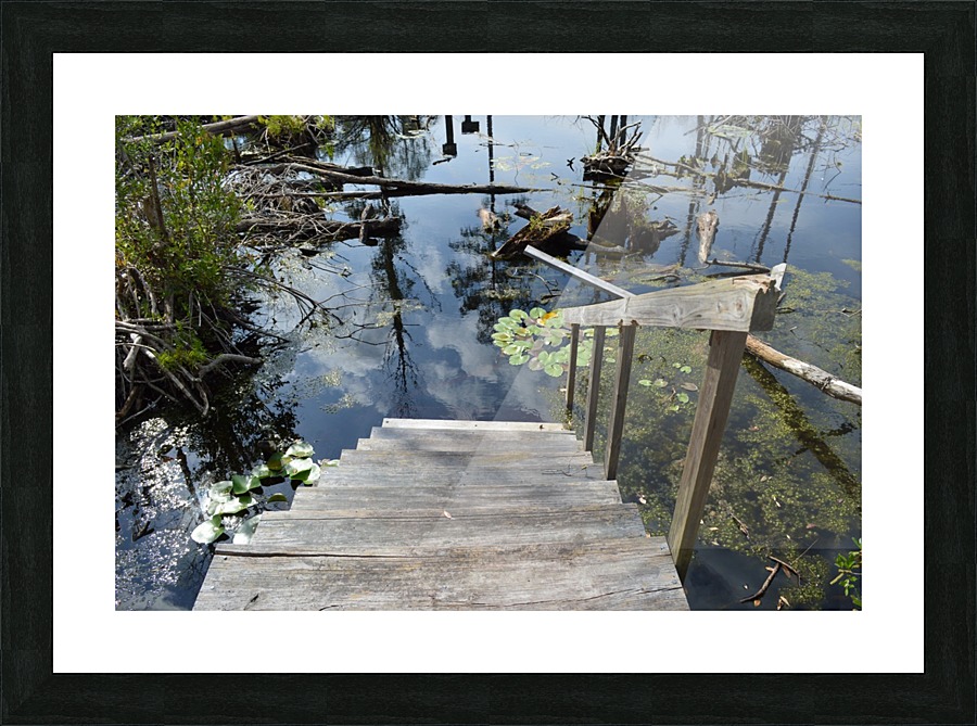 Into The Deep Picture Frame print