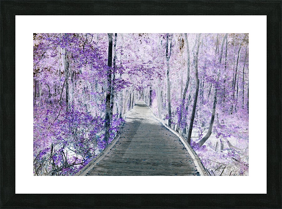 New Eyes Picture Frame print