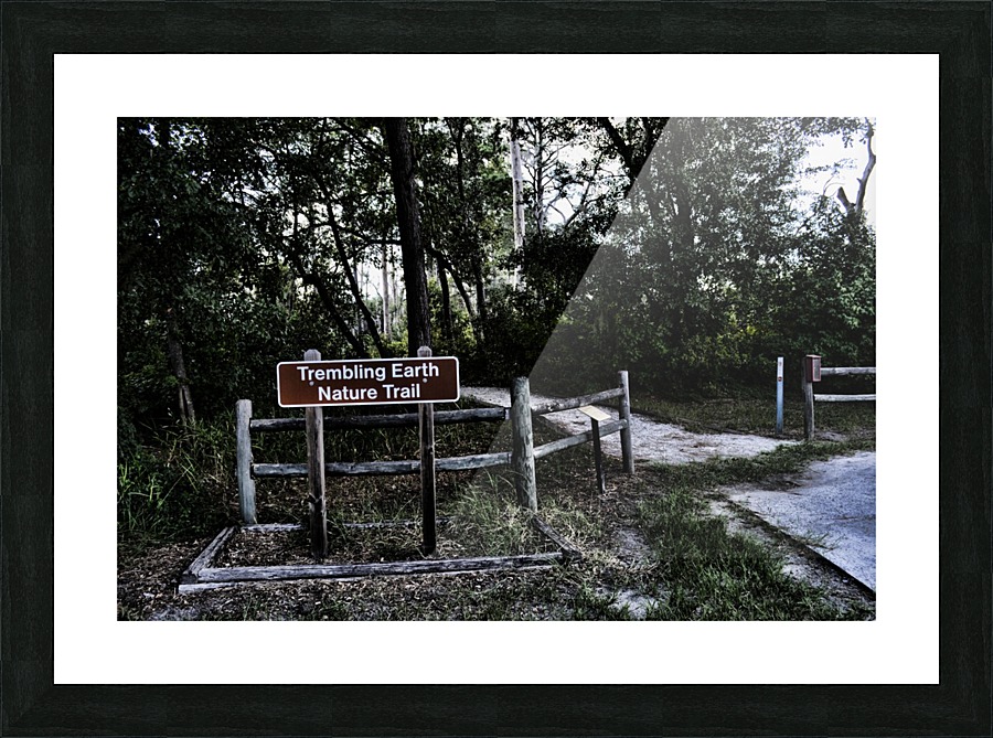 Trembling Earth Picture Frame print