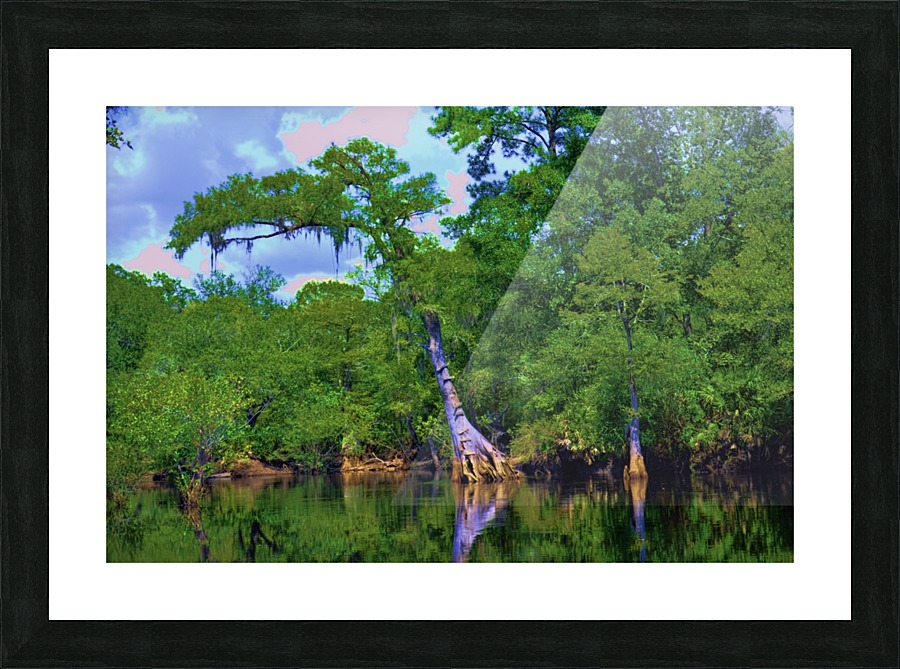 Summertime Fun Picture Frame print