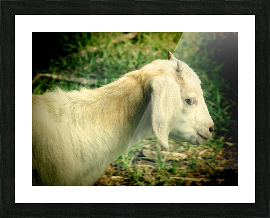 New Beginnings Picture Frame print
