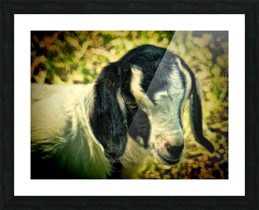 Myrah Picture Frame print