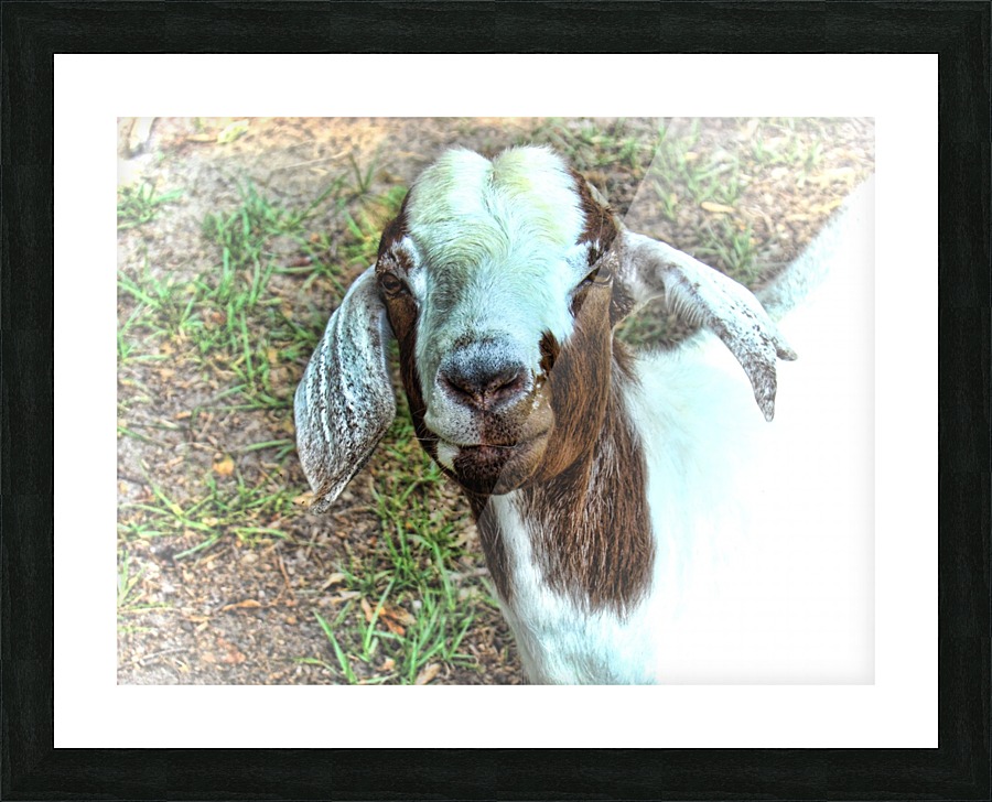 Strike A Pose Picture Frame print