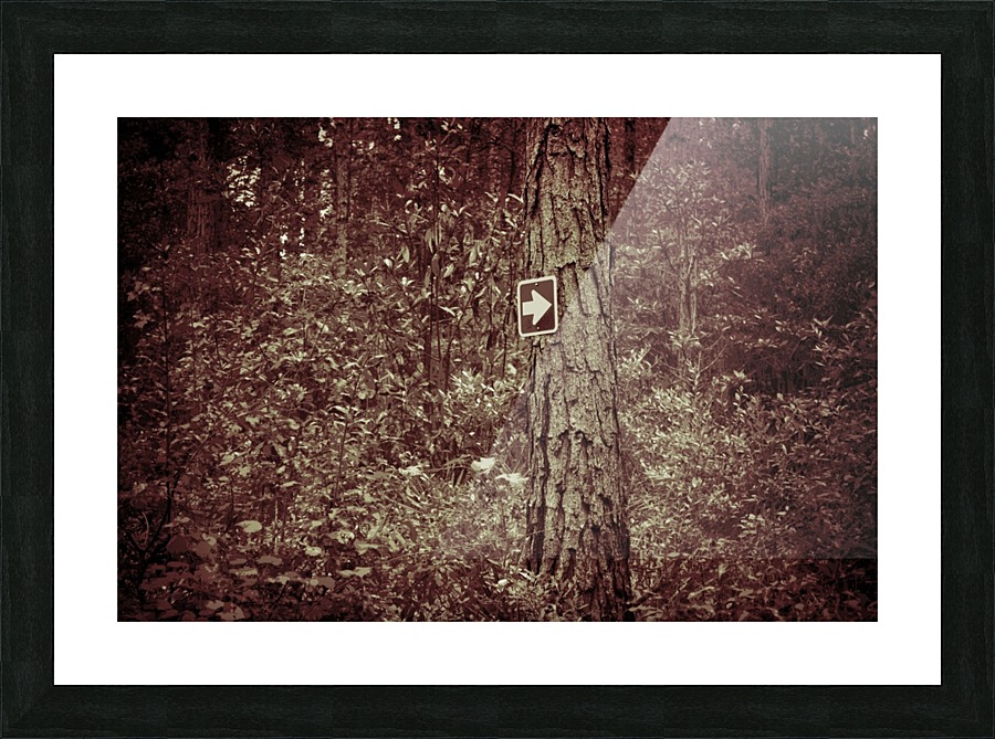 Go That Way Picture Frame print