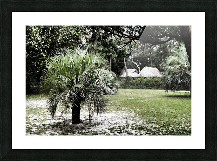 Secluded Picture Frame print