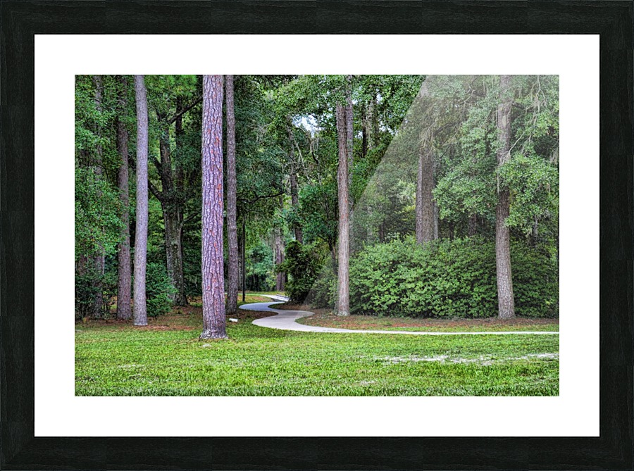 Winding Path Picture Frame print