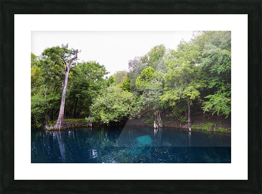 Suwanee Skull Picture Frame print