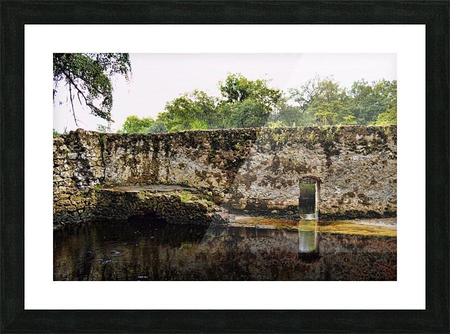 Suwanee Spa Picture Frame print