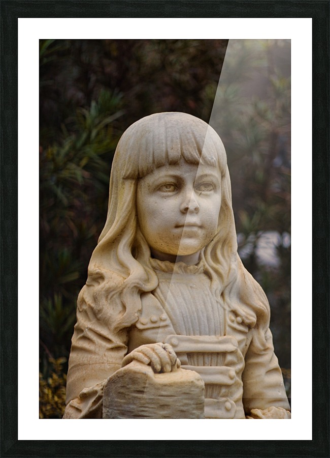 003 Picture Frame print
