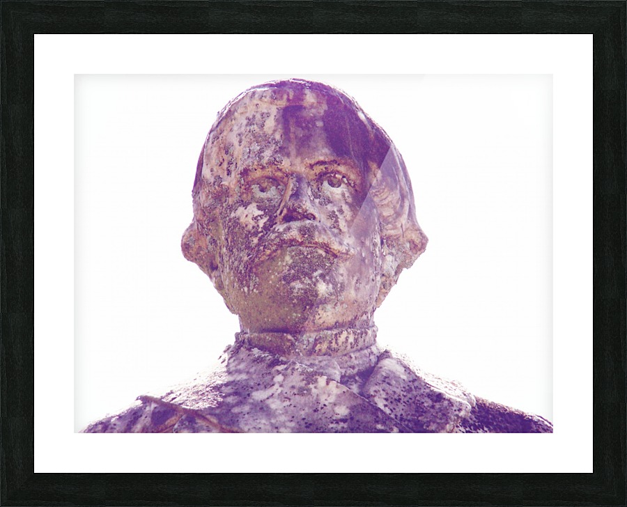 Bravery Picture Frame print